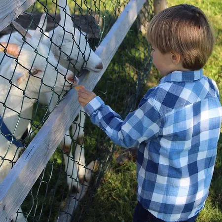 Andreashof Alloggio per agriturismo