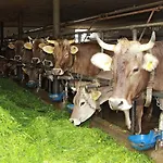 Agroturismo Andreashof Heimenkirch