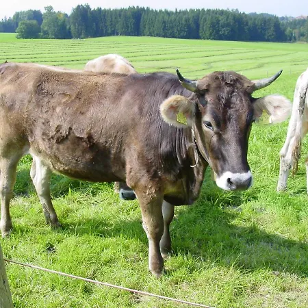 Andreashof Feriegård Heimenkirch