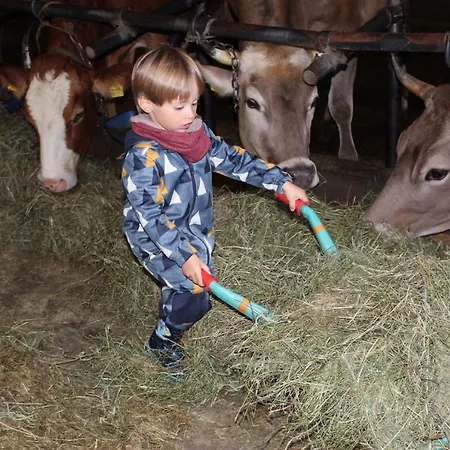 Farm stay Andreashof