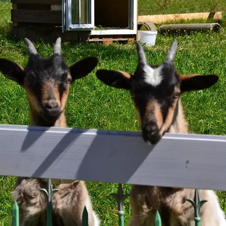 Andreashof Farm stay Heimenkirch